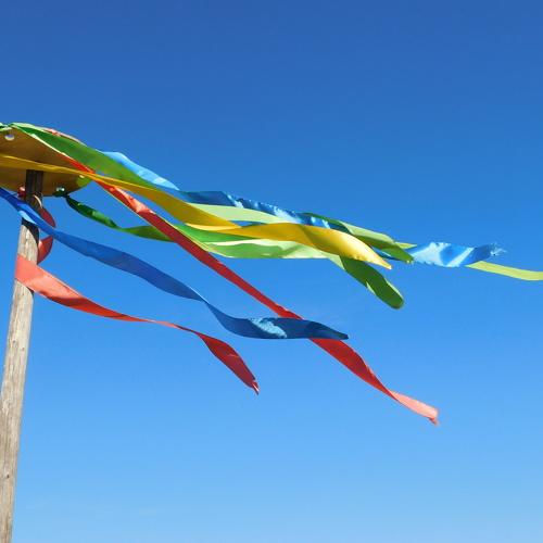 Photo #3510466