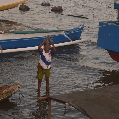 Photo #3511108