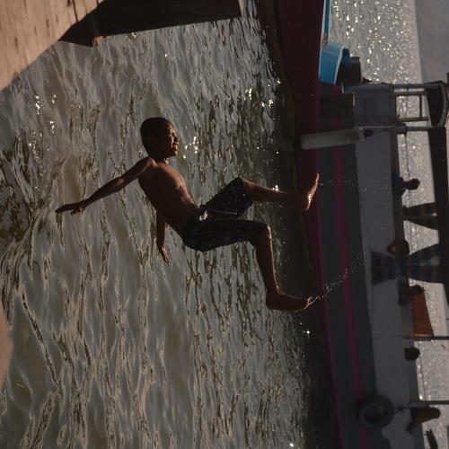 Photo #3511223