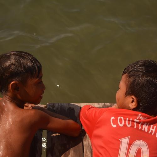 Photo #3511228