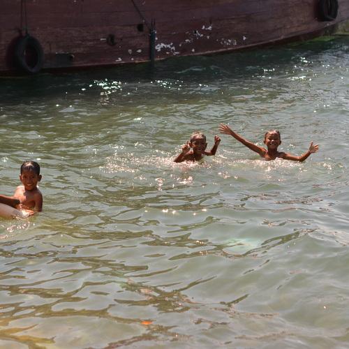 Photo #3511255