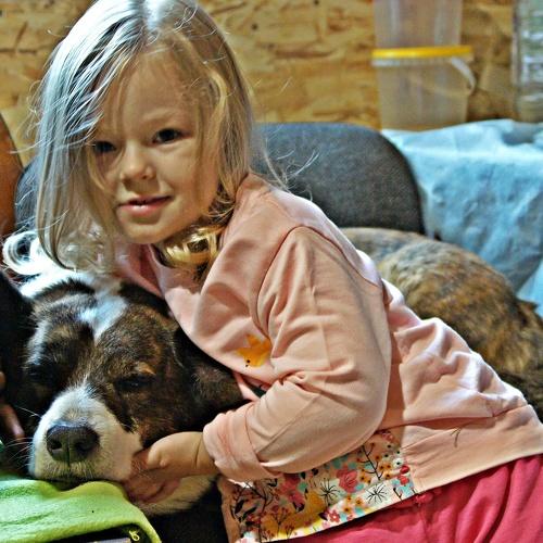 Photo #3511325