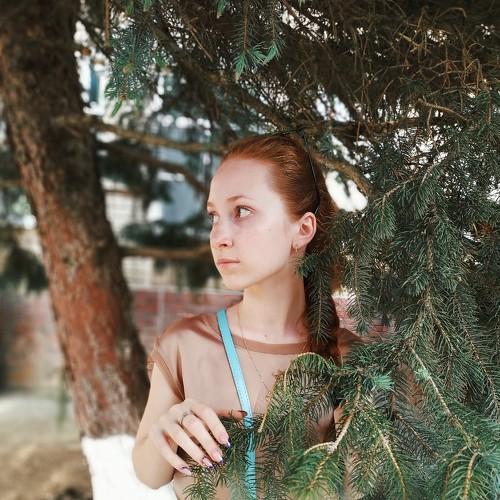 Photo #3511734