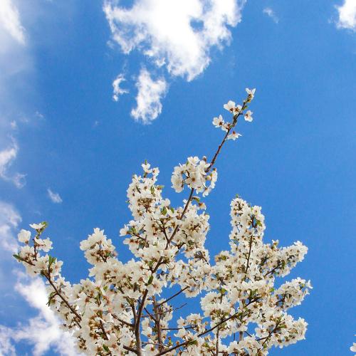 Photo #3512613