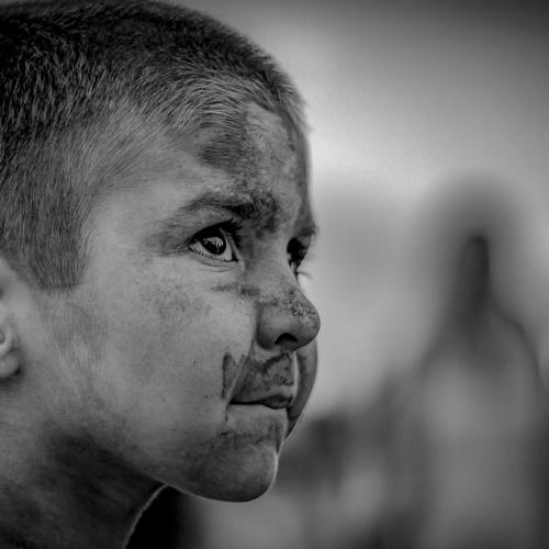 Photo #3513061