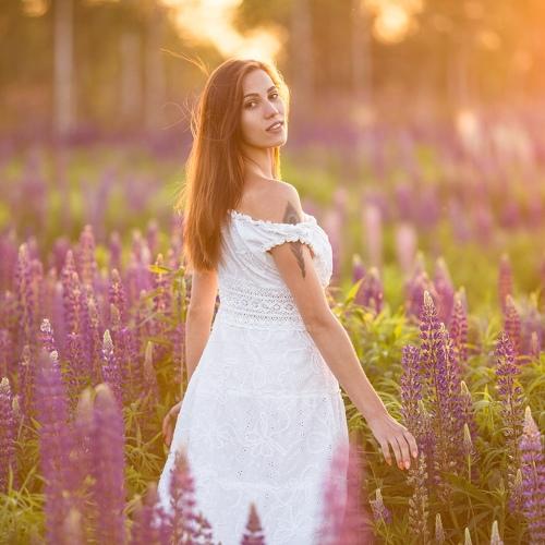 Photo #3513124