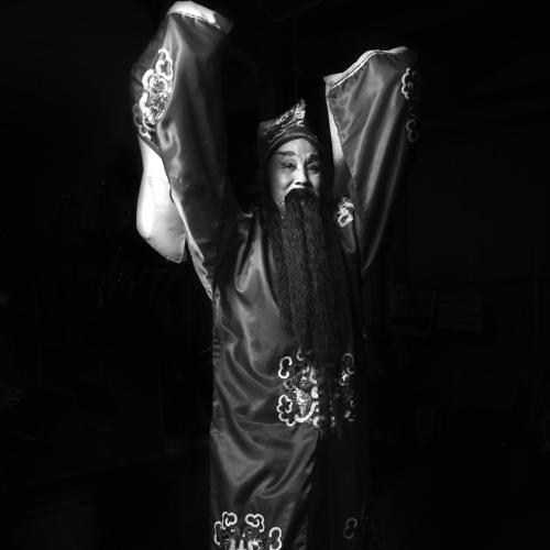 The Chinese Opera Artist