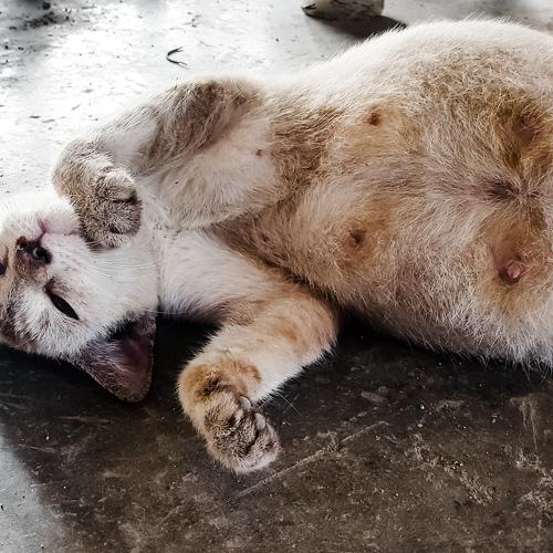 Photo #3513402
