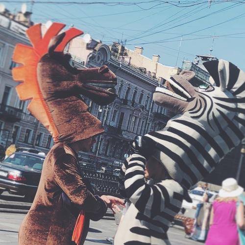 Photo #3513647