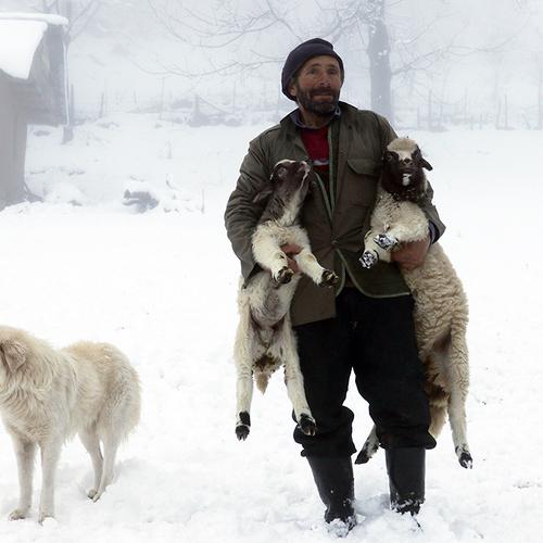 Фотография #3514113