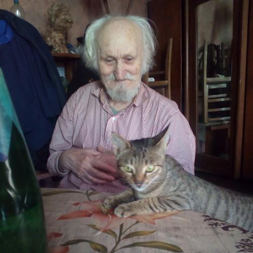 Photo #3514537