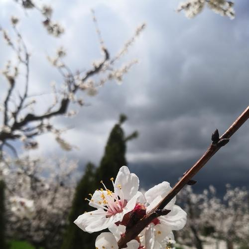 Photo #3514620