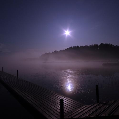 Photo #3514992