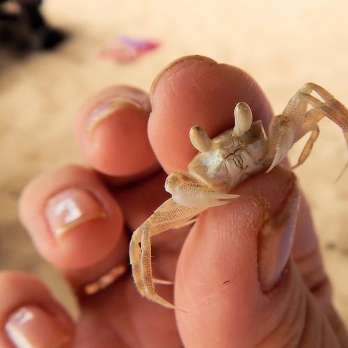 Photo #3515562
