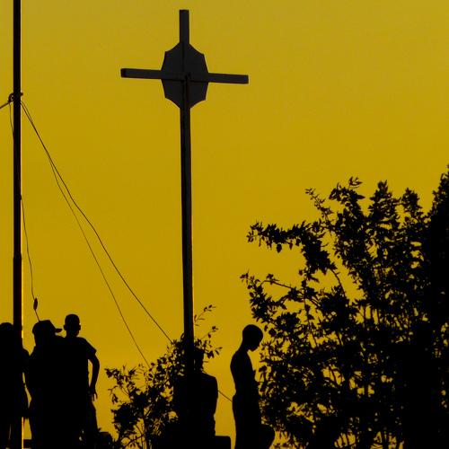 Photo #3515652