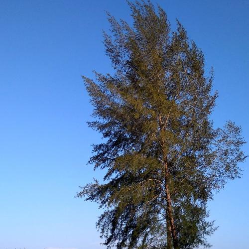 Photo #3515780