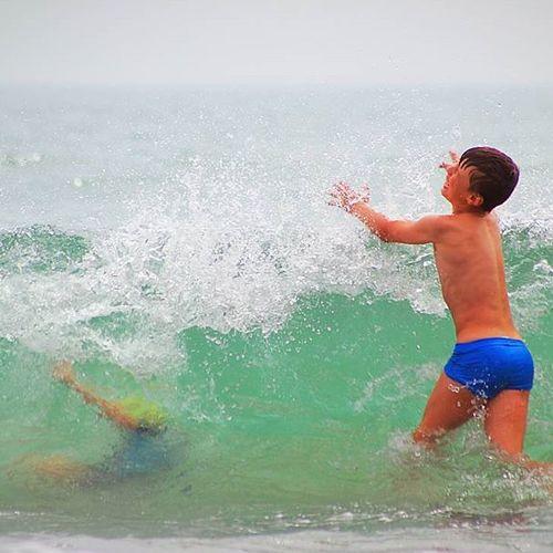 Photo #3516259