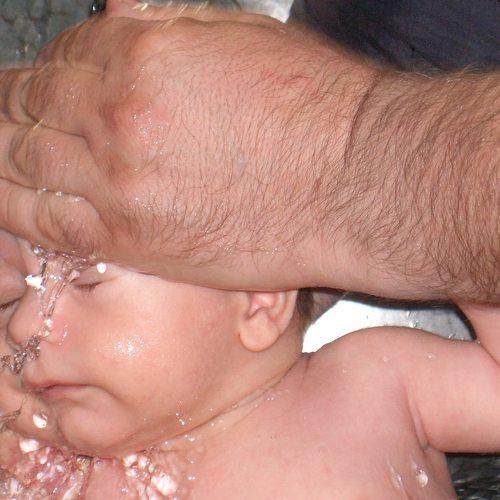 Photo #3516261
