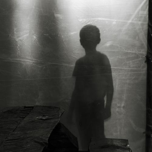 Photo #3516299