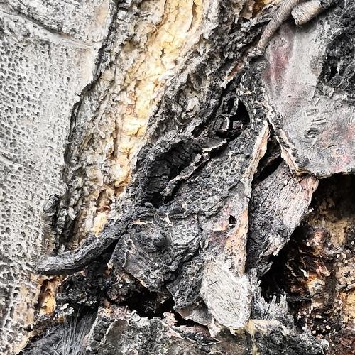 Photo #3516516