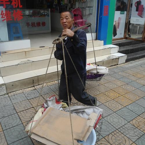 Photo #3516712