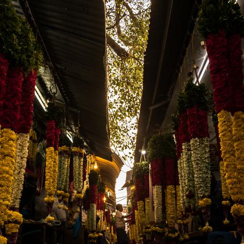 Photo #3516810