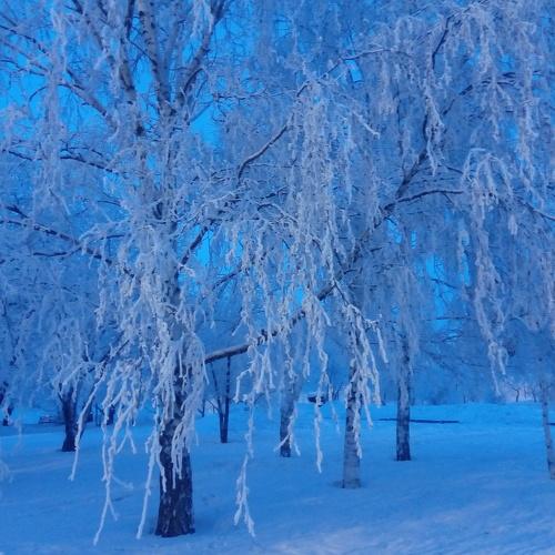 Photo #3517122
