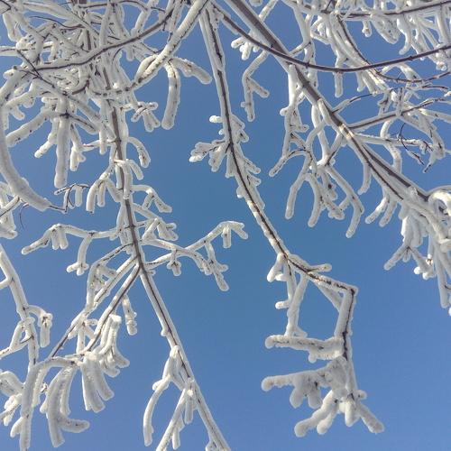 Photo #3517131