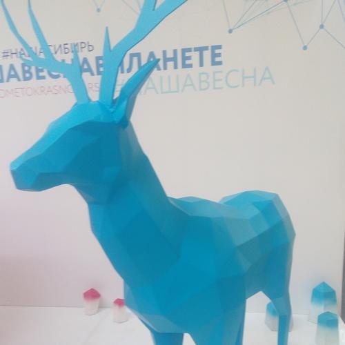 Photo #3517133