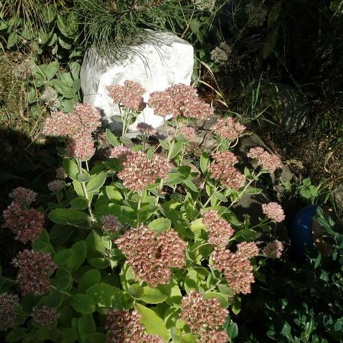 Photo #3517367