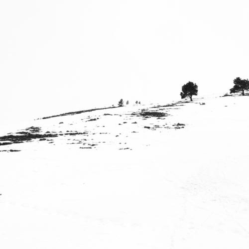 Photo #3517437