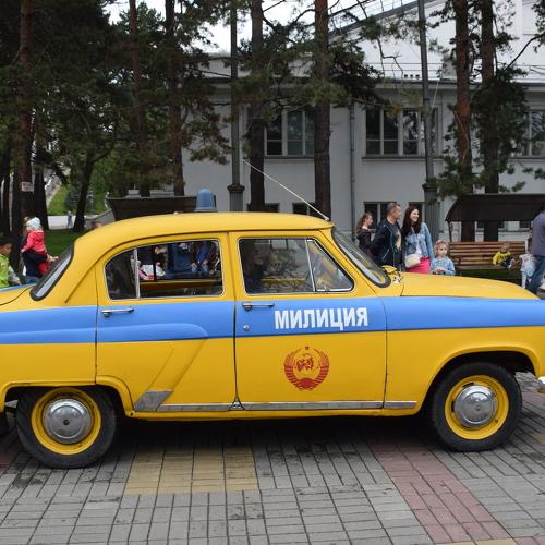 Photo #3517512