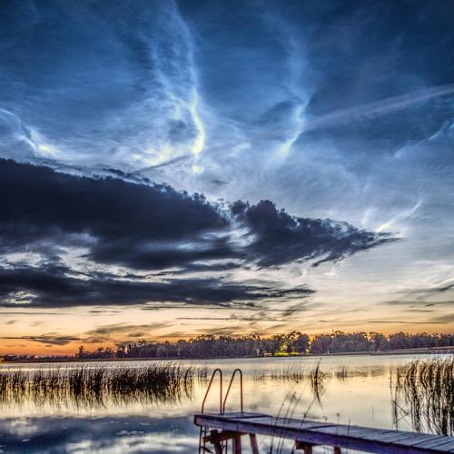 Photo #3517520