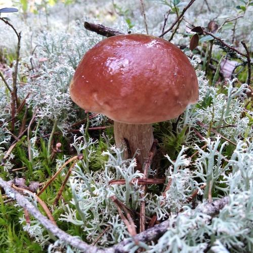 Photo #3517651