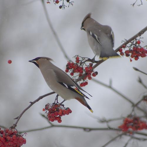 Photo #3517667