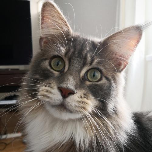 Photo #3517769