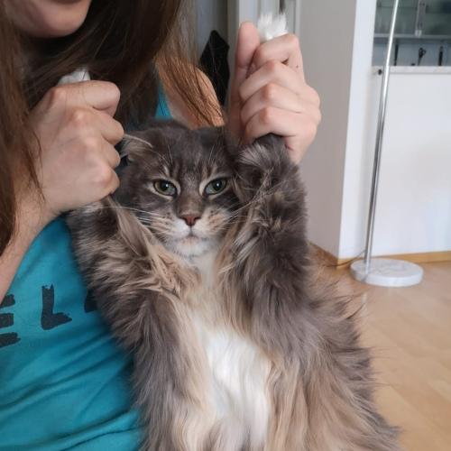 Photo #3517771