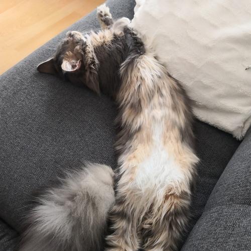 Photo #3517781