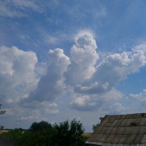 Photo #3517983