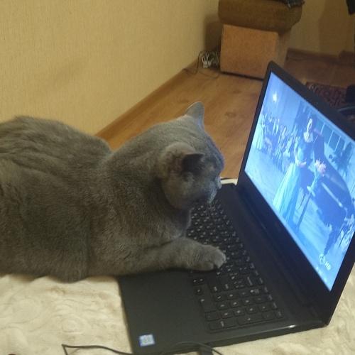Photo #3518168