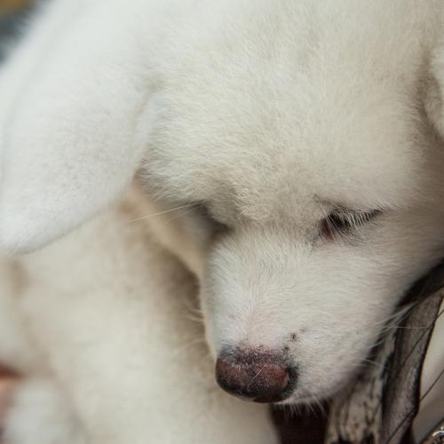 Photo #3518324