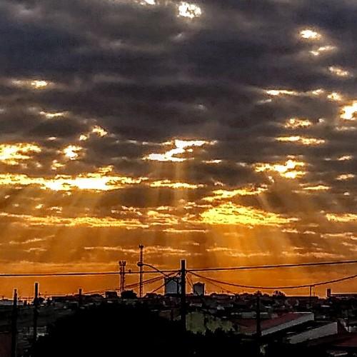 sol