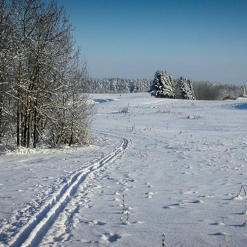 Photo #3519252