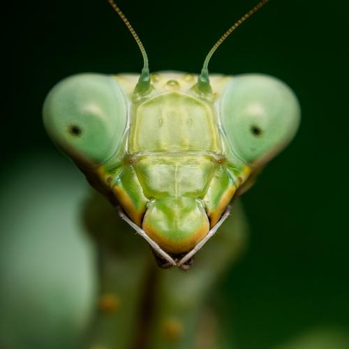 Photo #3519571