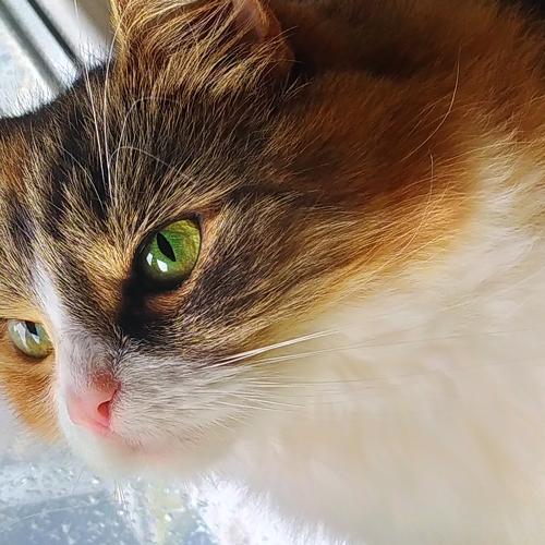 Photo #3519583