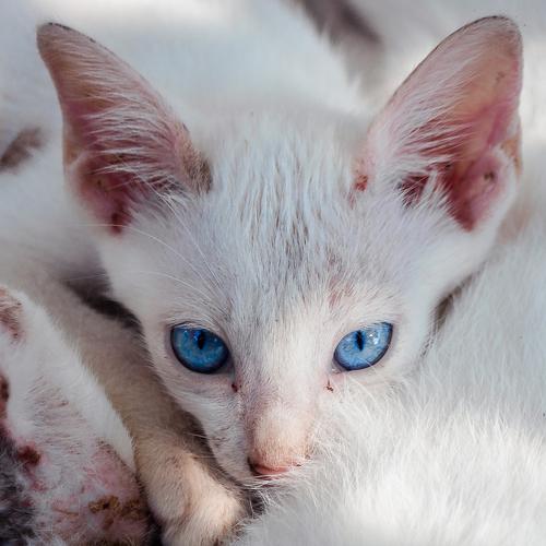 Photo #3519610