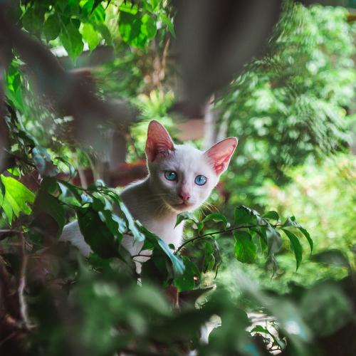 Photo #3519618