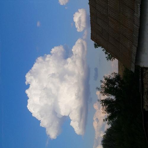 Photo #3519620