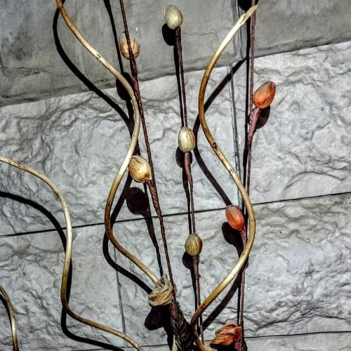 Photo #3519998
