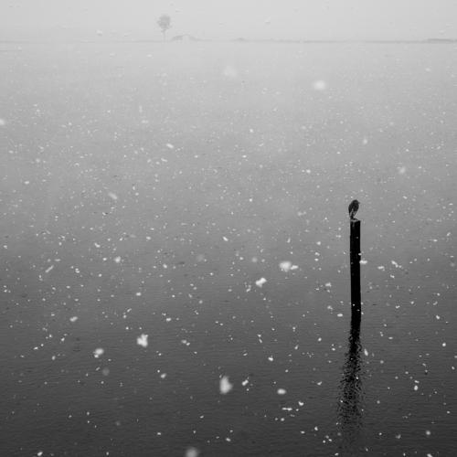Photo #3520286